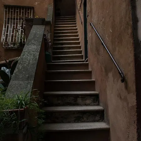 Domus Tiberina